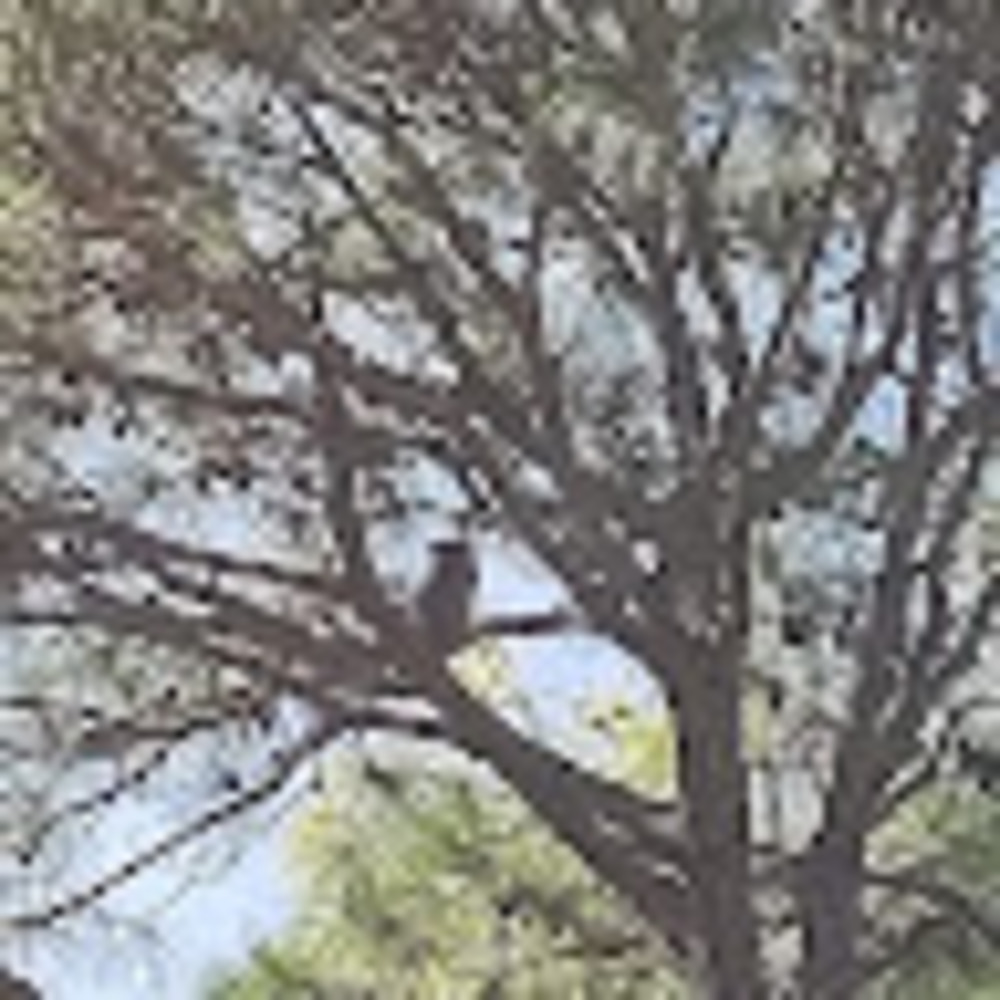 Meet your Posher, Pj